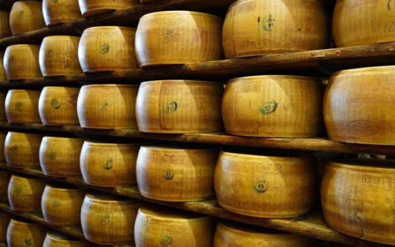 From Parma: Parmigiano and Parma Ham Guided Food Tour - Practical Details: Transportation, Timing, and Value