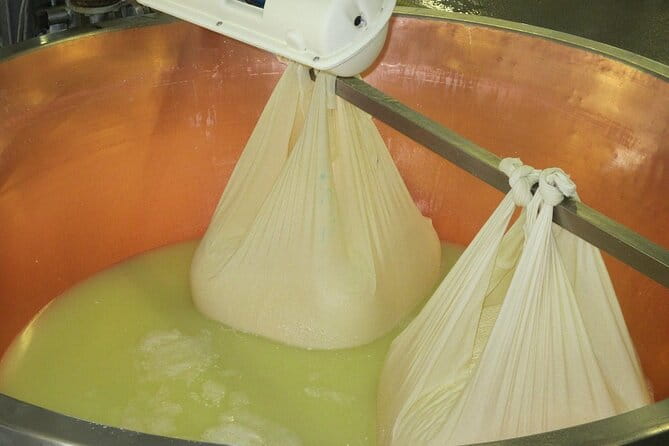 From Parma: Parmigiano,Prosciutto and winery Tour and tasting - A Detailed Look at the Tour