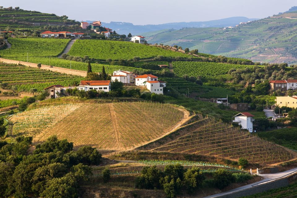 From Peso Da Regua: Douro Valley Tour - Transportation and Accessibility
