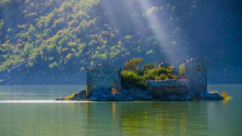 From Petrovac or Budva: Skadar Lake Cruise with Lunch - Experiencing Montenegro’s Natural Beauty on Skadar Lake