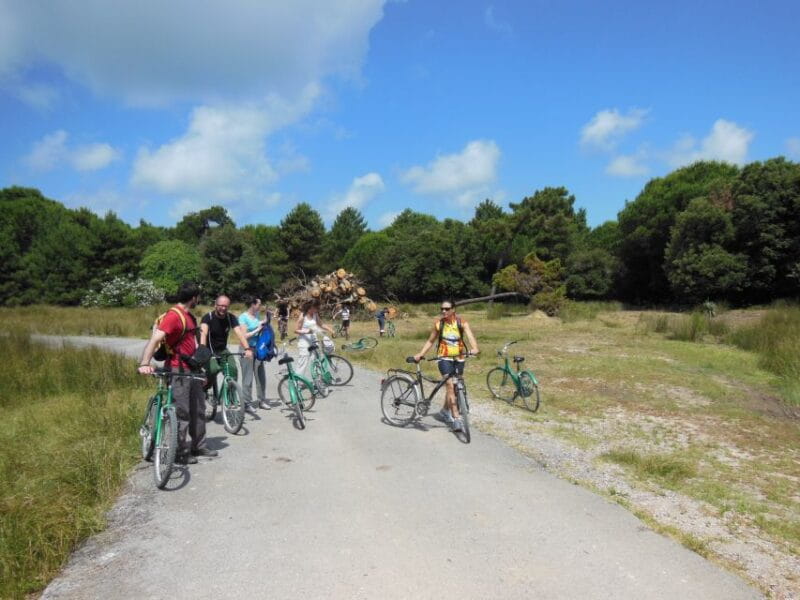 From Pisa to Lucca along Puccini cycling path - Final Thoughts