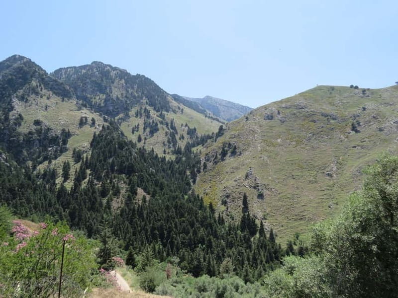 From Platanias: Guided Mountain Half day Trip with snack! - The Historical Charm of Therisso