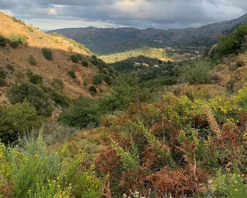 From Platanias: Guided Mountain Half day Trip with snack! - Scenic Drive Back: Gorges and Greenery
