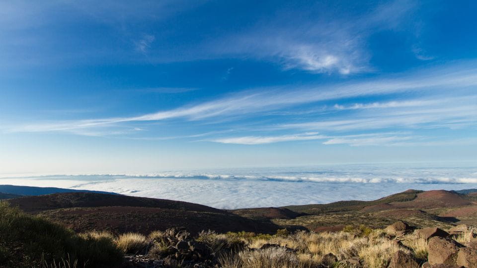 From Playa De Las Américas: Full-Day Teide Jeep Safari - Tour Highlights and Experience