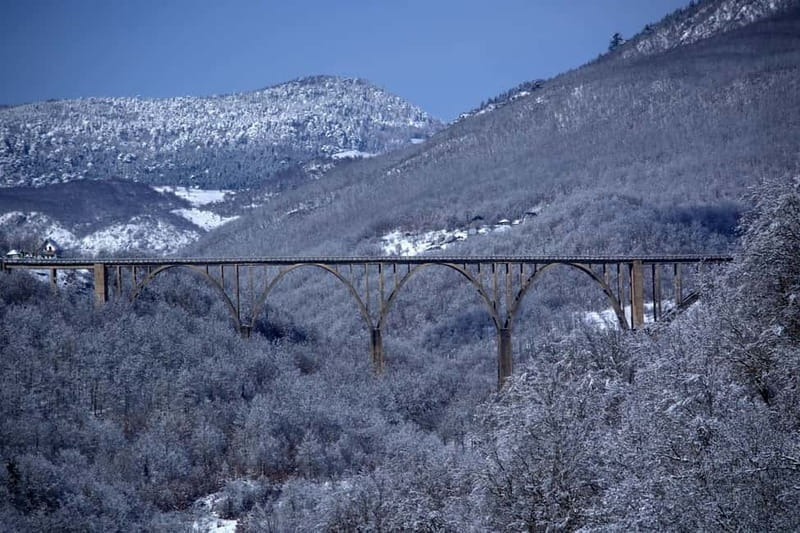 From Podgorica: Durmitor NP & Tara canyon-Amazing Montenegro - Pricing and Logistics