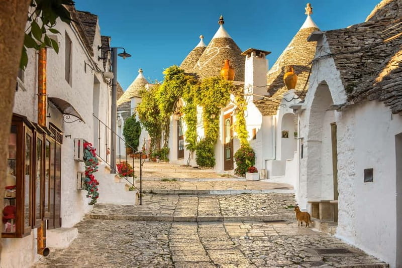 From Polignano a Mare: Alberobello Guided Tour - Exploring Alberobello’s Trulli with a Guided Tour from Polignano a Mare