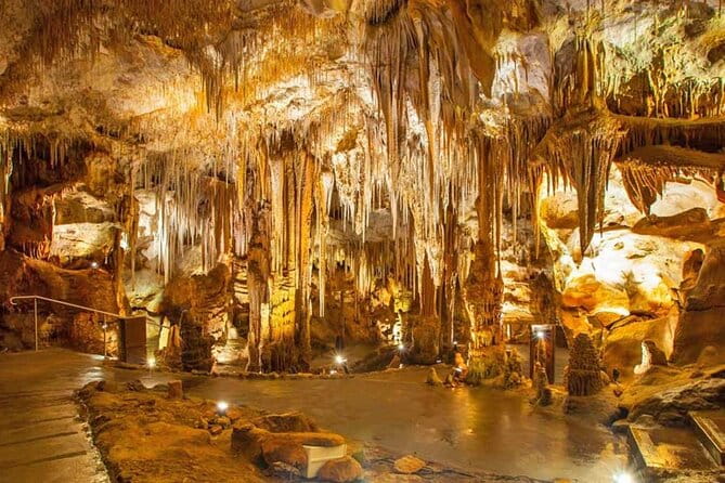 From Polignano - Cave Tour Between Land and Sea - Key points / Takeaways