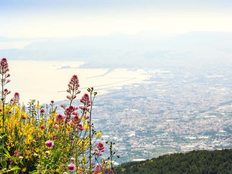 From Pompeii: Mount Vesuvius Hike & Tour by Bus - Getting to the Heart of the Vesuvius Experience