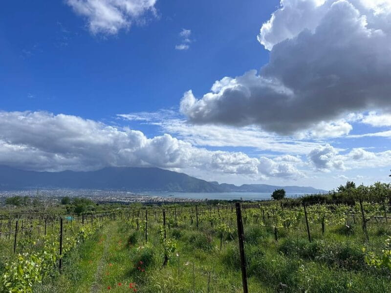 From Pompeii: Mount Vesuvius Horseback Riding Tour - Exploring Mount Vesuvius on Horseback: A Practical Guide