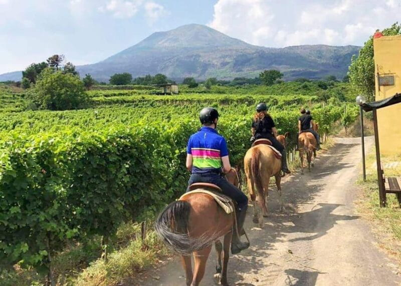 From Pompeii: Mount Vesuvius Horseback Riding Tour - Who This Tour Is Best For
