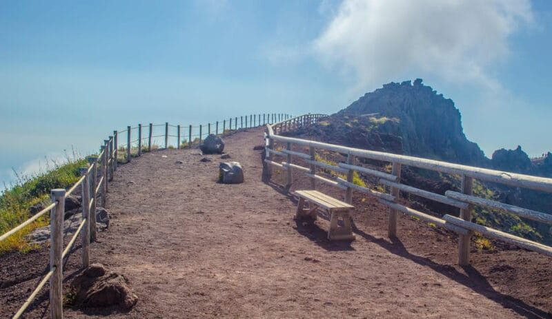 From Pompeii: Vesuvius Entry with Transfer and Audioguide - Who This Tour Is Perfect For