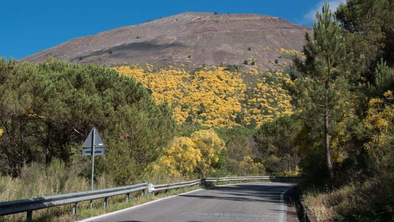 From Pompeii: Vintage Car Tour Beneath Mount Vesuvius - Price and Logistics: Is It Worth It?