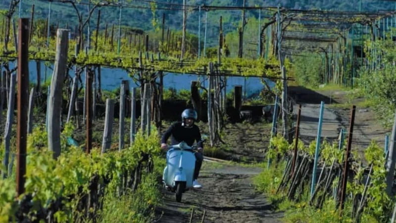 From Pompeii: Vintage Vespa Tour Beneath Mount Vesuvius - Final Thoughts