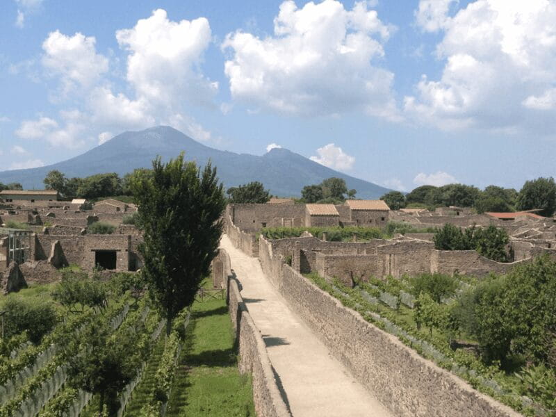 From Pompeii: Walking Tour with Guide in the Excavations - FAQ: Common Questions About the Pompeii Walking Tour