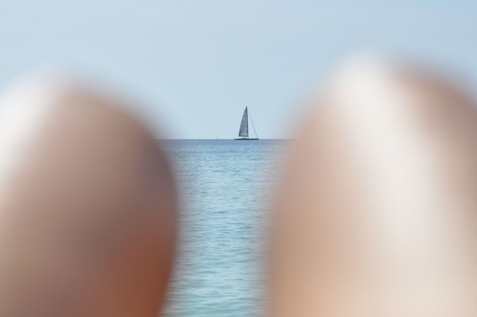 From Port Alcudia: Magaluf Shuttle Bus - Transportation Details