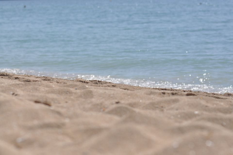 From Port Alcudia: Magaluf Shuttle Bus - Booking Information