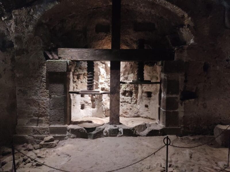 From Port Mystic Orvieto & Dying City Civita Bagnoregio tour - Who This Tour is Perfect For