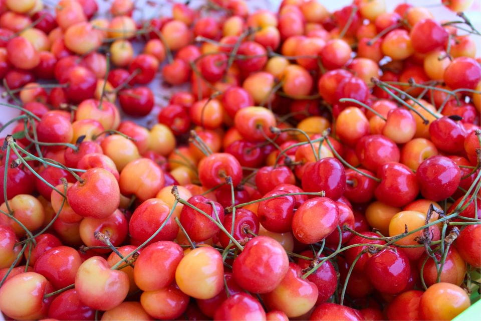 From Portland: Waterfalls, Mt Hood, and Wine Day Tour - Timberline Lodge