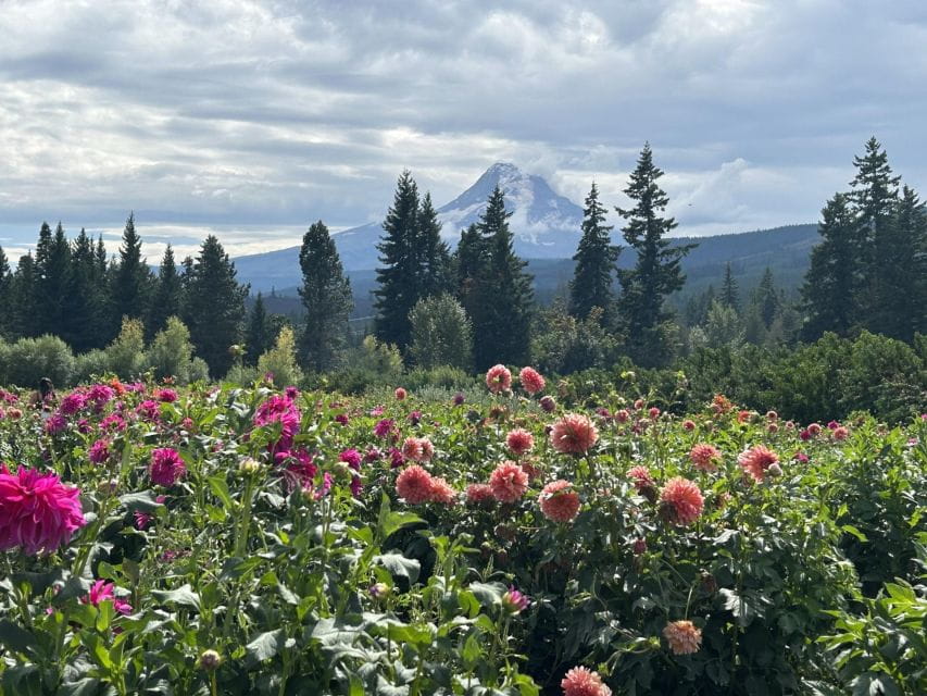 From Portland: Waterfalls, Mt Hood, and Wine Day Tour - Frequently Asked Questions