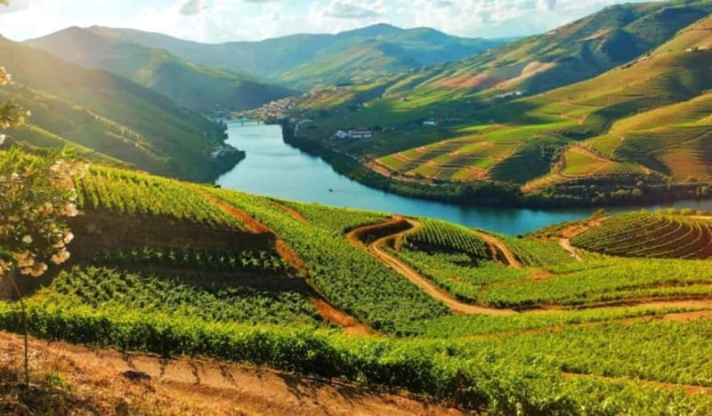 From Porto: Douro Valley Tour - Key Points / Takeaways