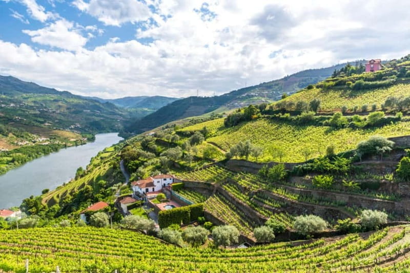 From Porto: Douro Valley Tour - Who Will Love This Tour?