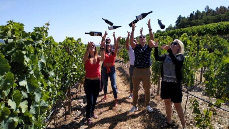 From Porto: Douro Valley Tour with Tastings, Boat & Lunch - Who Will Love This Tour?