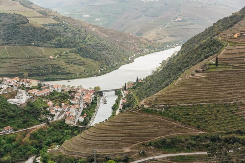 From Porto: Douro Valley Wine Tour with Lunch and Cruise - Key points / Takeaways