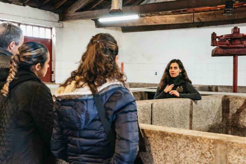 From Porto: Douro Valley Wine Tour with Lunch and Cruise - Return and Reflection: The End of the Day