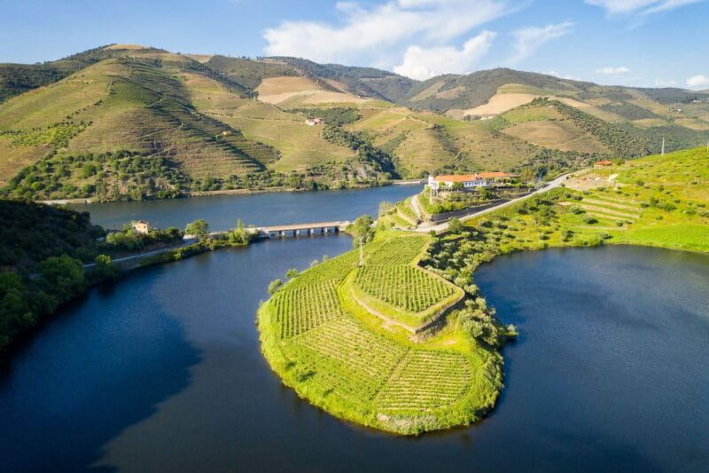 From Porto: Full-Day Douro Valley Trip - Scenic Stops and Photo Opportunities