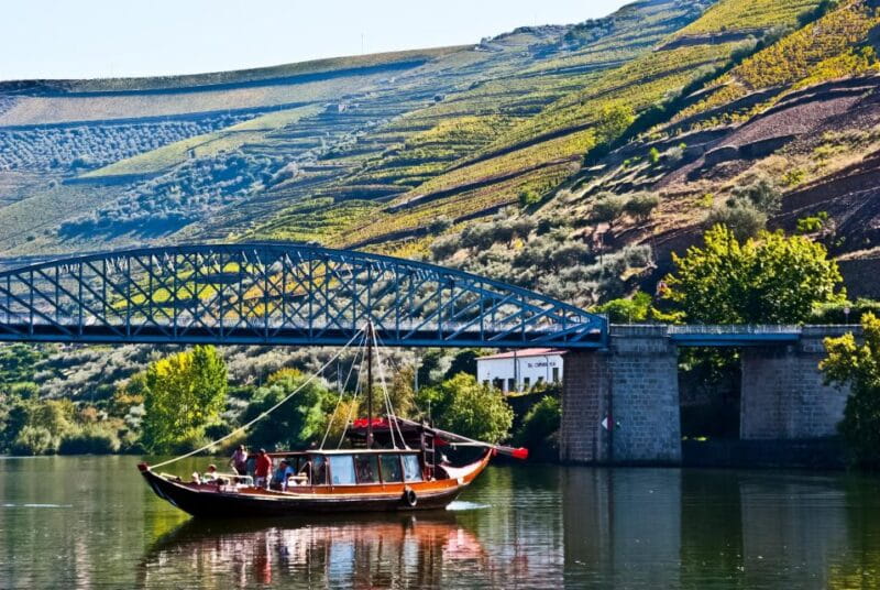 From Porto: Full-Day Douro Valley Trip - Lunch: Traditional Flavors Paired with Local Wines