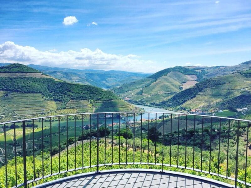 From Porto: Full-Day Douro Valley Trip - Final Highlights: Photo Stops and End of the Day