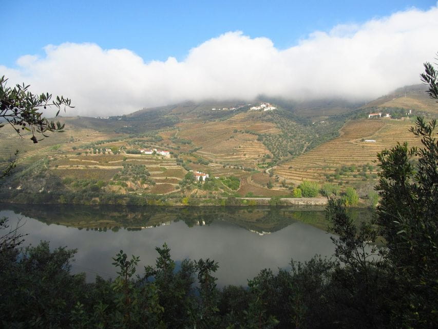 From Porto: Full-Day Douro Valley Wine Tour - Key Points