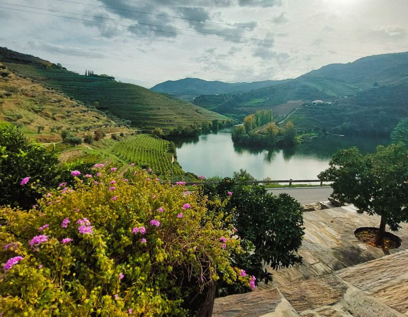 From Porto: Full-Day Douro Valley Wine Tour - Highlights