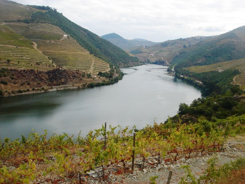 From Porto: Full-Day Douro Valley Wine Tour - Visiting Amarante