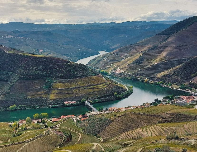 From Porto: Full-Day Douro Valley Wine Tour - Activities in Pinhão
