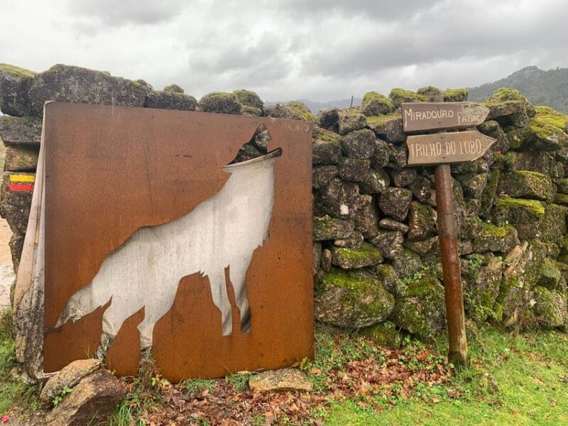 From Porto: Full-Day Tour in Gerês National Park - The Value of This Tour