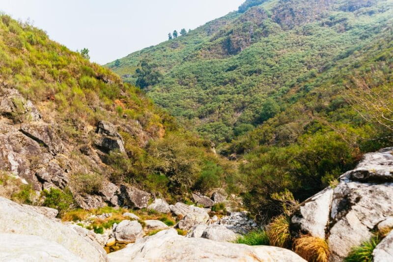 From Porto: Gerês National Park Canyoning Trip - Price and Overall Value