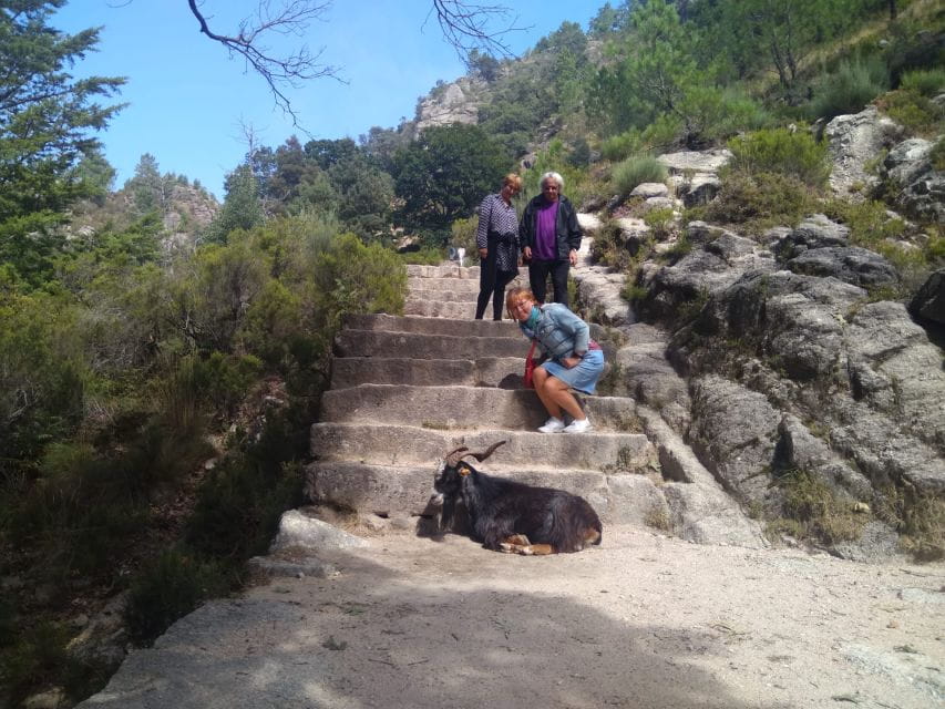 From Porto: Guided Hike to Gerês Park - Peneda-Gerês National Park