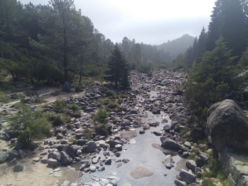 From Porto: Guided Hike to Gerês Park - Things To Know