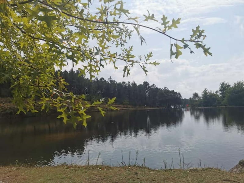 From Porto: Nature and Wine tasting Full-Day Tour - FAQ