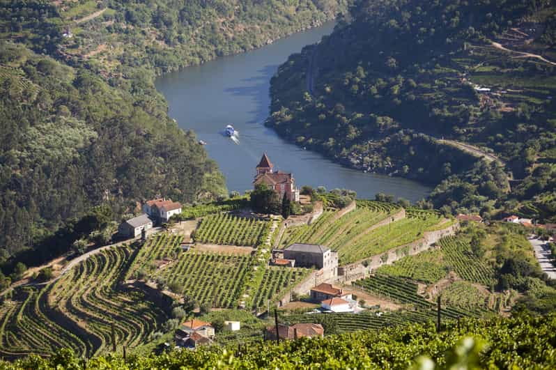 From Porto: Premium Douro Valley Small-Group Wine Tour - Key points / Takeaways