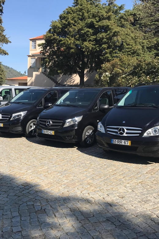 From Porto: Premium Douro Valley Small-Group Wine Tour - Exploring the Douro in Style and Substance