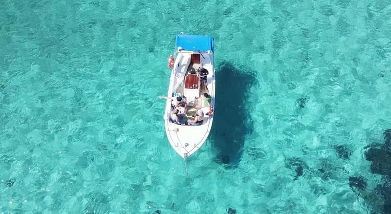 From Porto Rotondo: boat tour to Porto Cervo & Golfo Aranci - Key Points / Takeaways