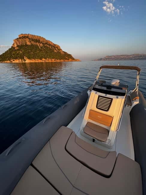 From Porto Rotondo: dinghy snorkeling tour with dolphin sighting - Key Points / Takeaways