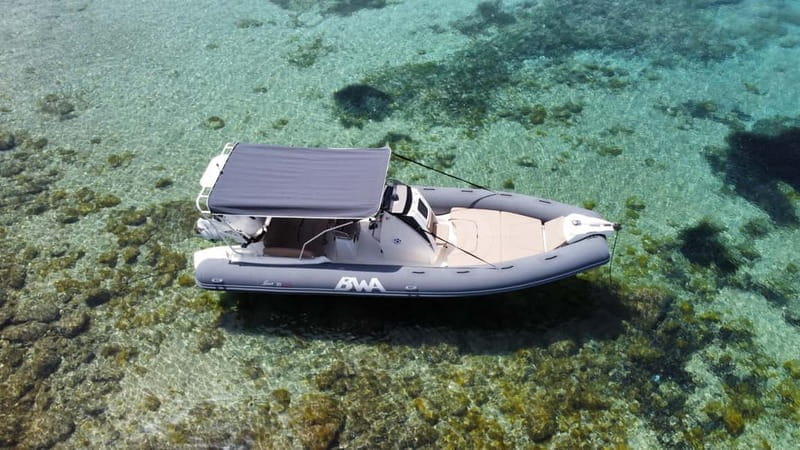 From Porto Rotondo: dinghy snorkeling tour with dolphin sighting - An In-Depth Look at the Sardinian Snorkeling Adventure