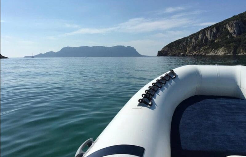 From Porto San Paolo: 4-hour boat tour to Tavolara - Who Will Love This Tour?