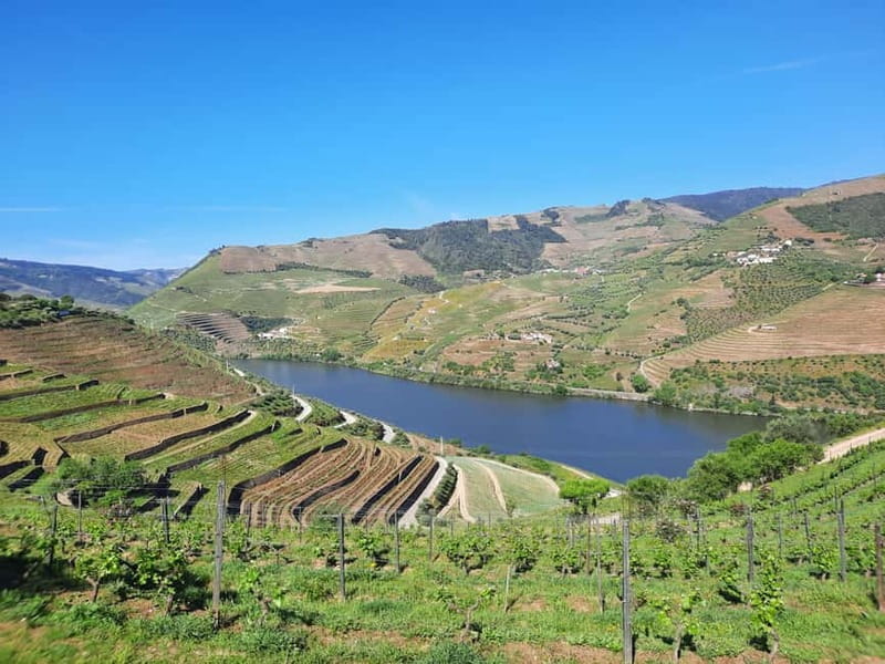 From Porto: small-group guided tour of the Douro Valley and Gerês - Day 2: The Douro Valley – Vines, Ports, and River Views