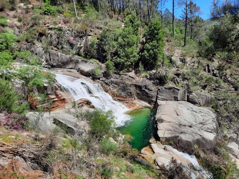 From Porto: small-group guided tour of the Douro Valley and Gerês - Who This Tour Is Best For