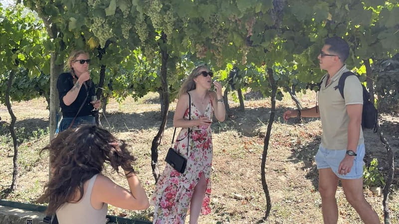 From Porto: Tastings at 2 Wineries, Chef's Lunch & Boat Tour - The finale: Port wine with fire and surprises