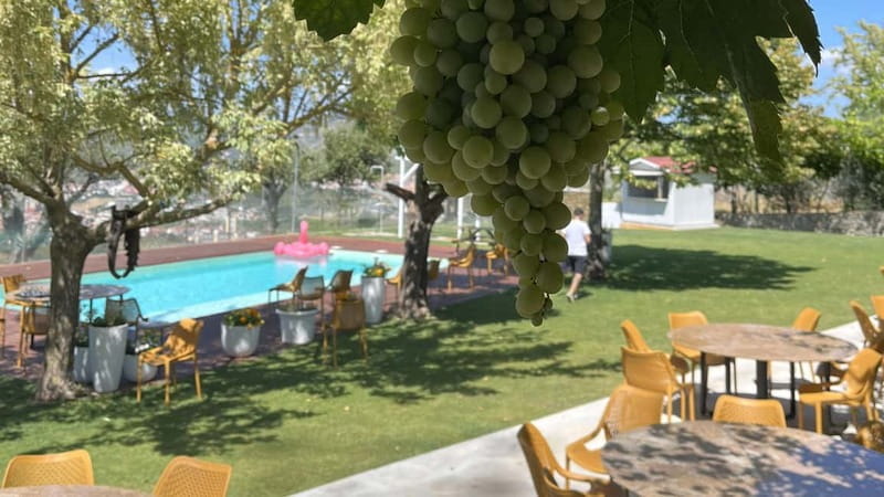 From Porto: Tastings at 2 Wineries, Chef's Lunch & Boat Tour - Logistics, value, and who it suits best